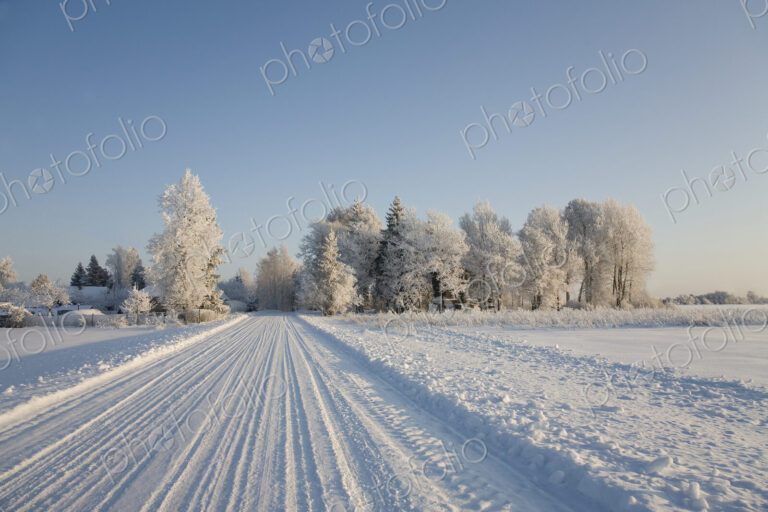 Country Road Covered in Snow