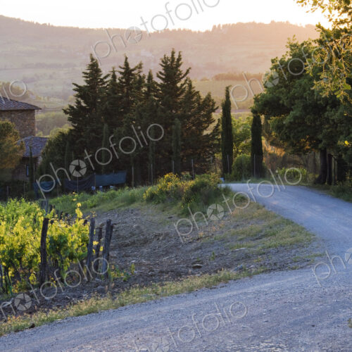 Country Road at Sunset Country Road at Sunset