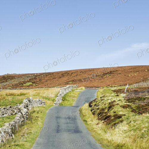 Country Road in Yorkshire Dales National Park Country Road in Yorkshire Dales National Park