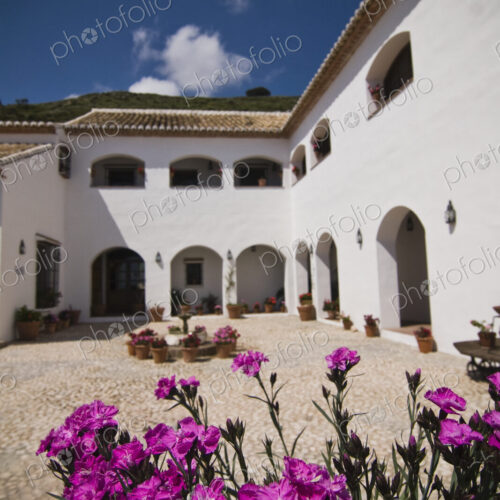 Courtyard of Hotel Courtyard of Hotel