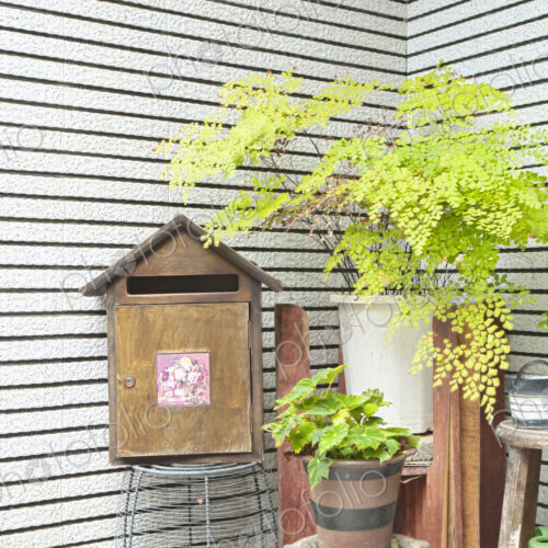 Courtyard outside a house,with a mailbox and green plants. Courtyard outside a house,with a mailbox and green plants.