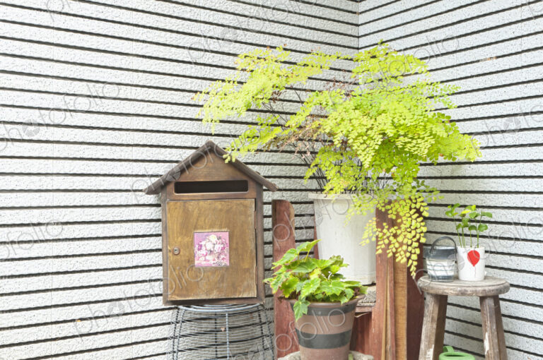 Courtyard outside a house,with a mailbox and green plants.