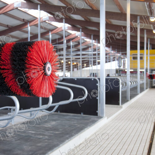 Cow Brush in a Cowshed Cow Brush in a Cowshed