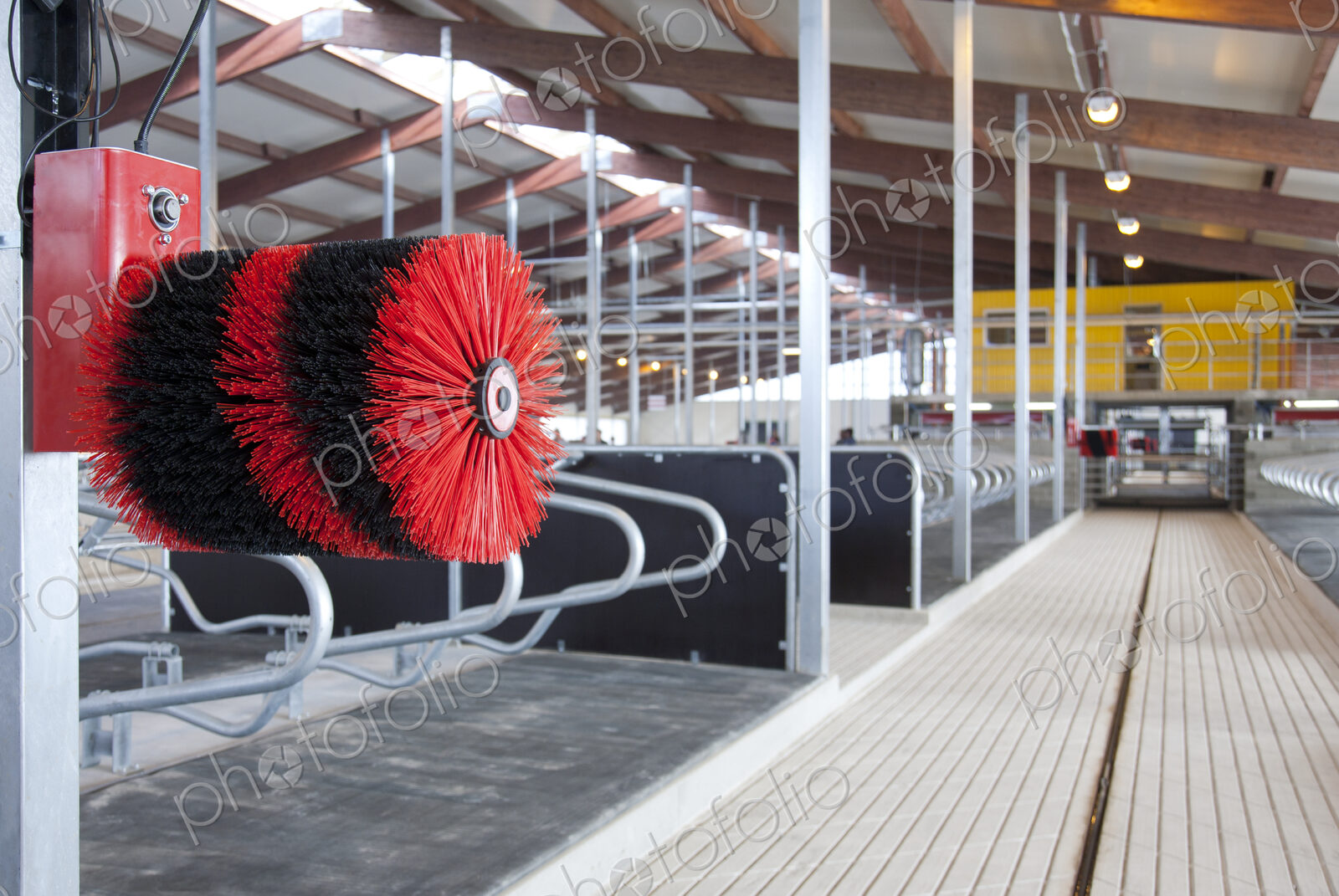 Cow Brush in a Cowshed
