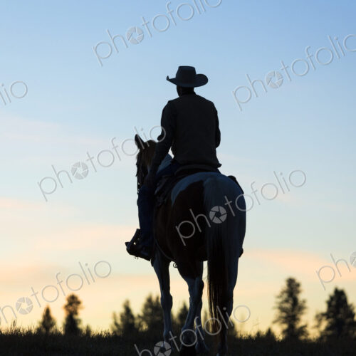Cowboy riding on horseback in a Prairie landscape at sunset. Cowboy riding on horseback in a Prairie landscape at sunset.