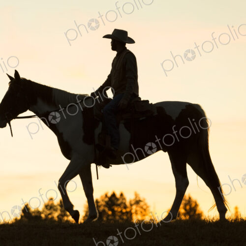 Cowboy riding on horseback in a Prairie landscape at sunset. Cowboy riding on horseback in a Prairie landscape at sunset.
