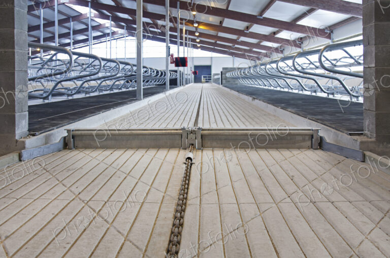 Cowshed Dung Scraper