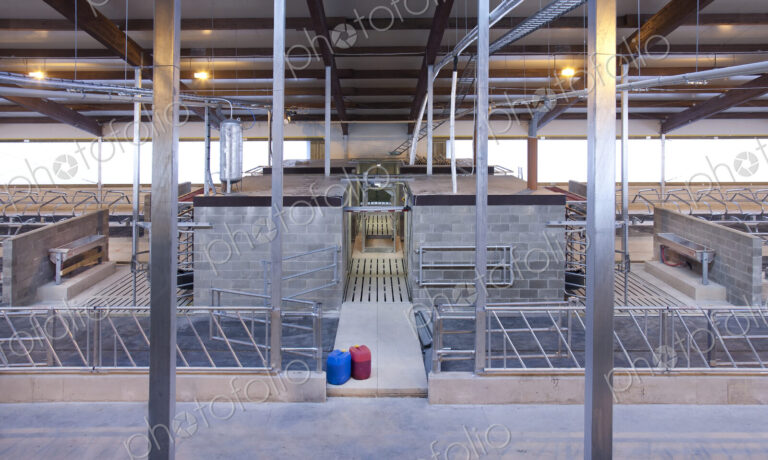 Cowshed Interior