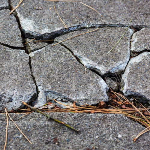 Cracked concrete pavement slabs on a sidewalk Cracked concrete pavement slabs on a sidewalk