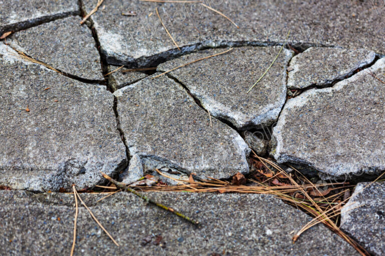 Cracked concrete pavement slabs on a sidewalk