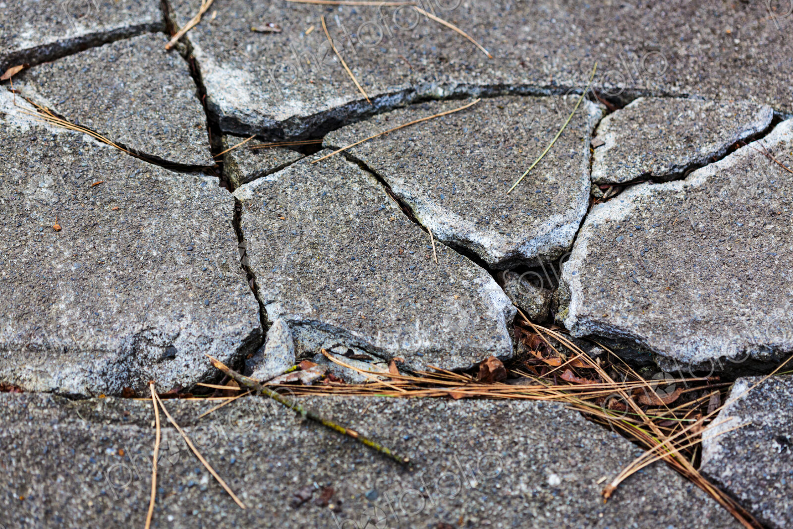 Cracked concrete pavement slabs on a sidewalk