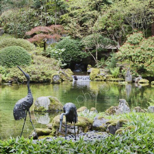 Crane statues at pond in Japanese Garden, Portland, Oregon, United States Crane statues at pond in Japanese Garden, Portland, Oregon, United States