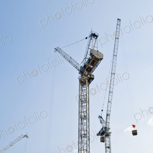 Cranes Against a Blue Sky Cranes Against a Blue Sky