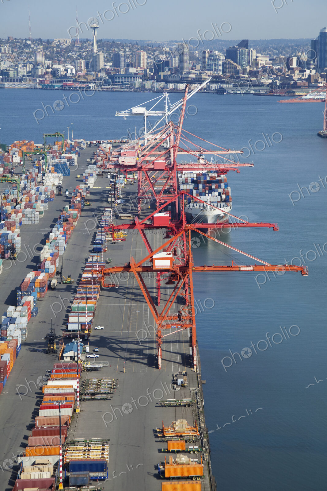Cranes at the Port of Seattle