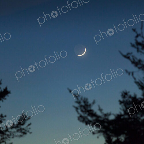 Crescent moon in the night sky over Port Angeles.