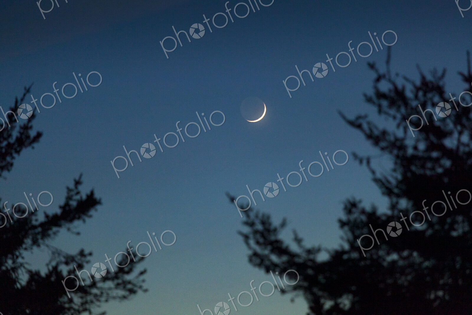 Crescent moon in the night sky over Port Angeles.