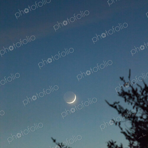 Crescent moon over Port Angeles.