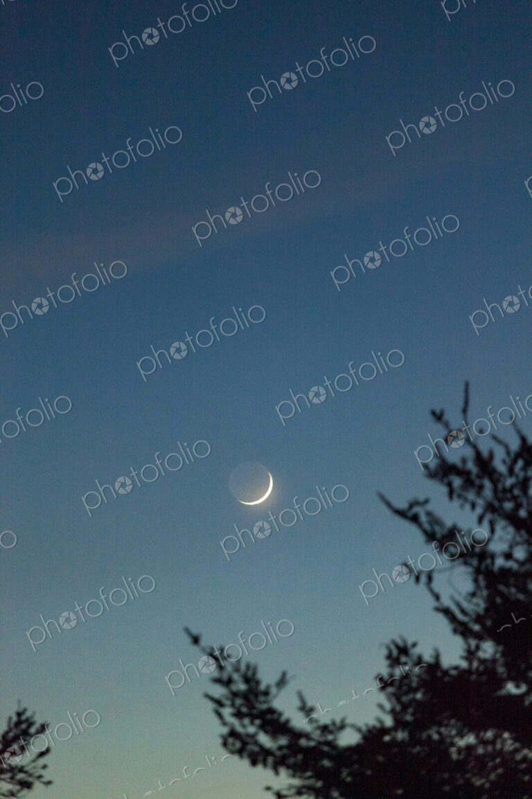Crescent moon over Port Angeles.