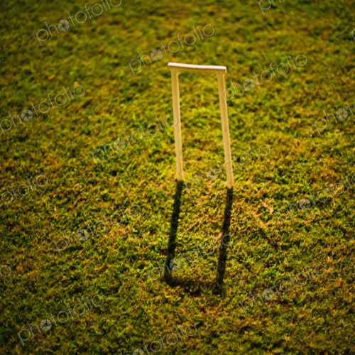 Croquet Wicket Casting a Shadow