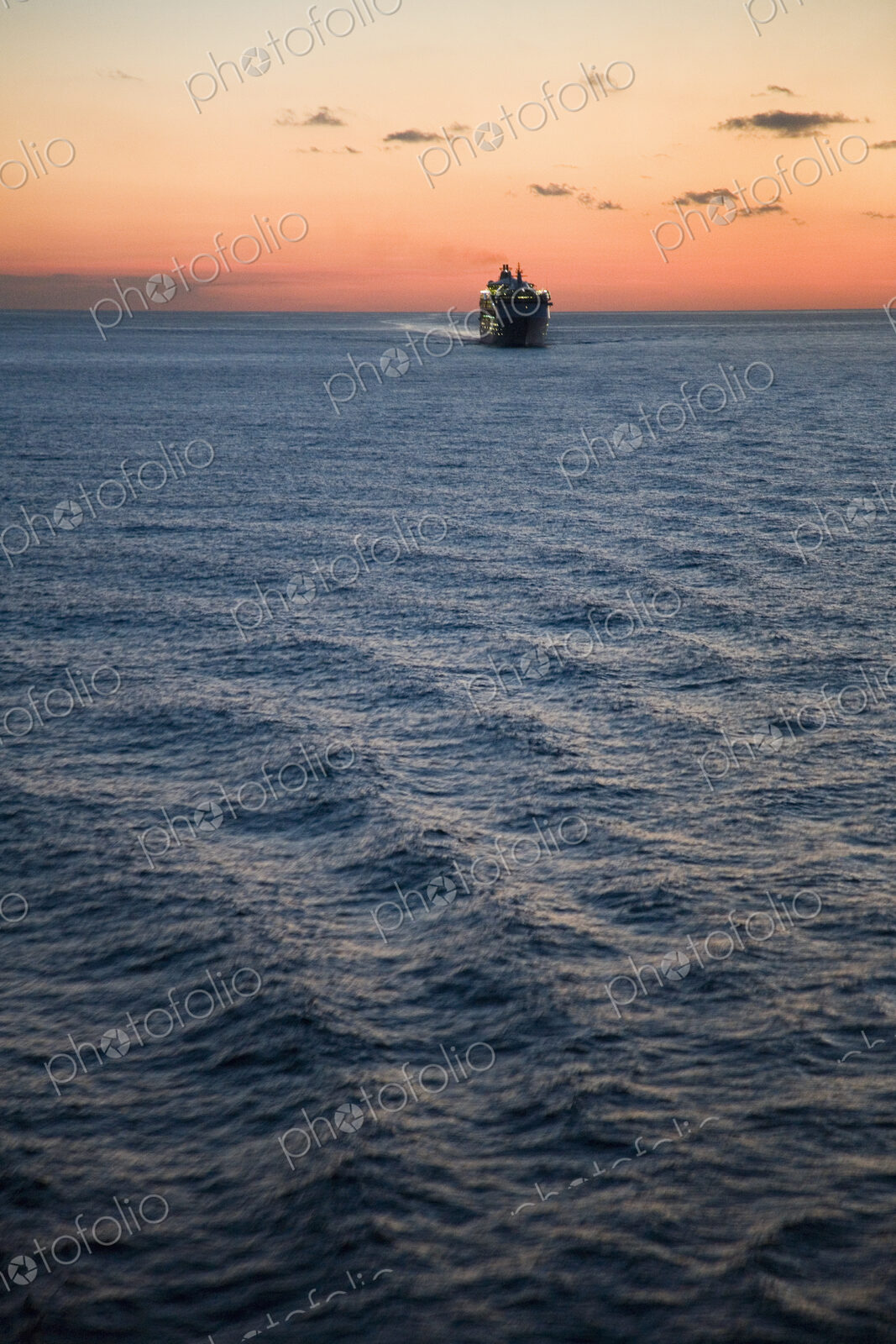Cruise Ship