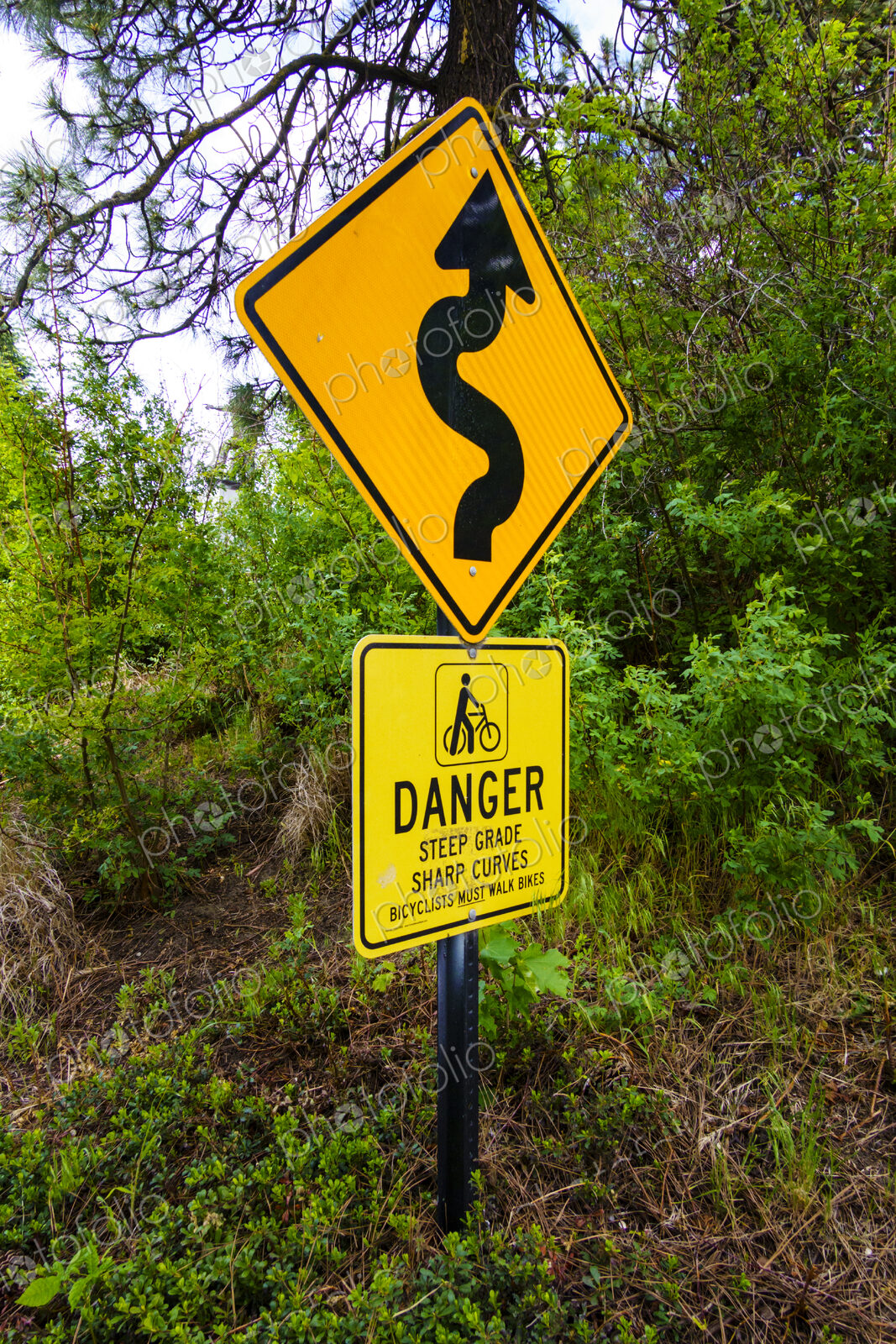 Curvy arrow road sign and warning of steep grade, Spokane, WA USA