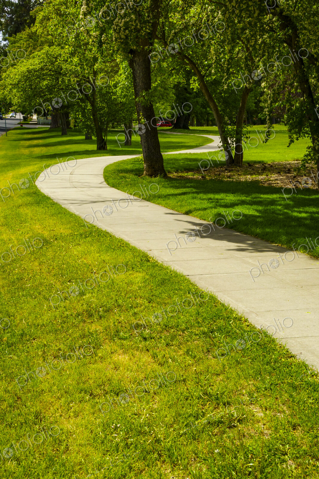 Curvy sidewalk by park, Spokane, WA USA