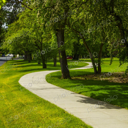 Curvy sidewalk by park, Spokane, WA USA