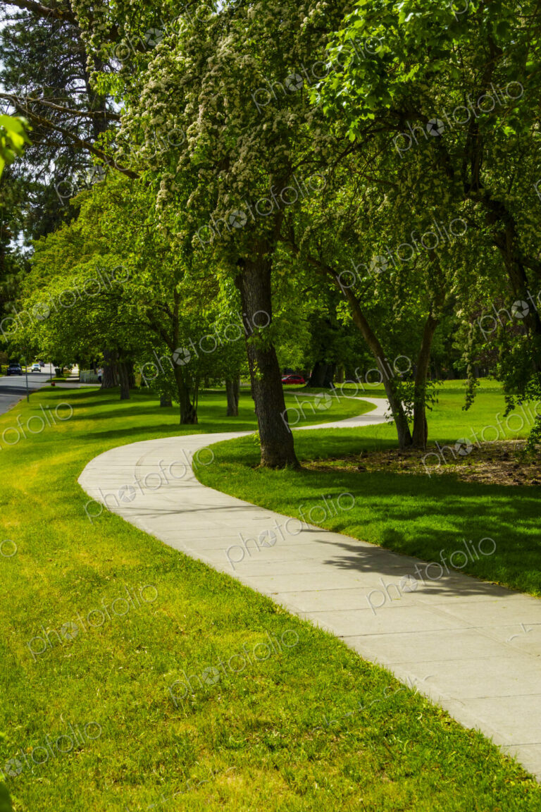Curvy sidewalk by park, Spokane, WA USA
