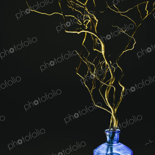 Cut willow tree branches. Contorted shapes. Cut willow tree branches. Contorted shapes.