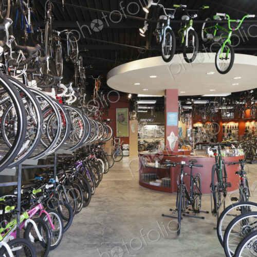 Cycle repair shop interior, rows of bicycles.