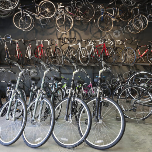 Cycle repair shop interior, rows of bicycles.