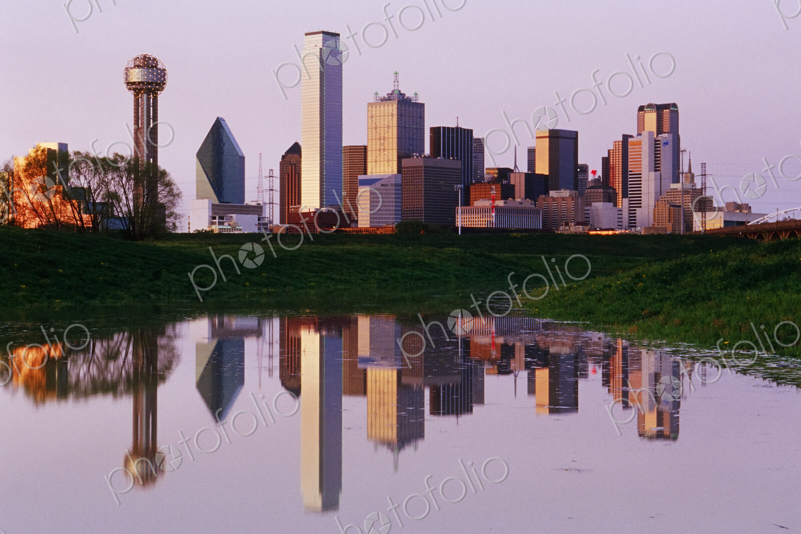 Dallas Skyline Reflected in Pond at Dusk