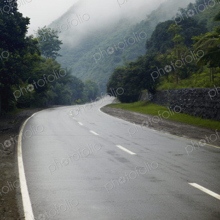 Damp Roadway in the Mountains