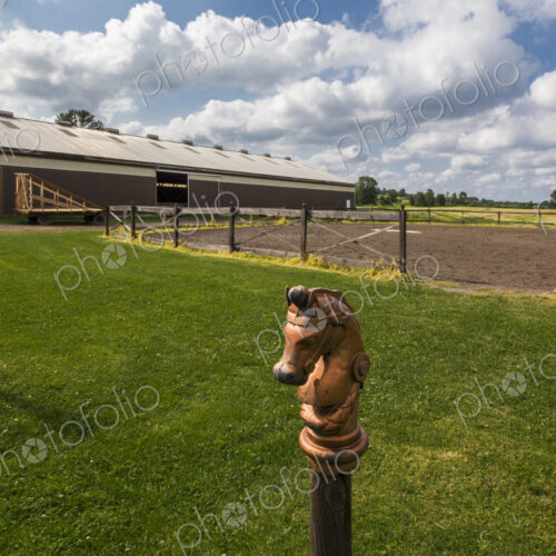 Decorative horse posts on farm Decorative horse posts on farm