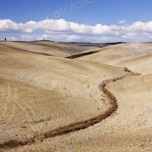 Desert Landscape