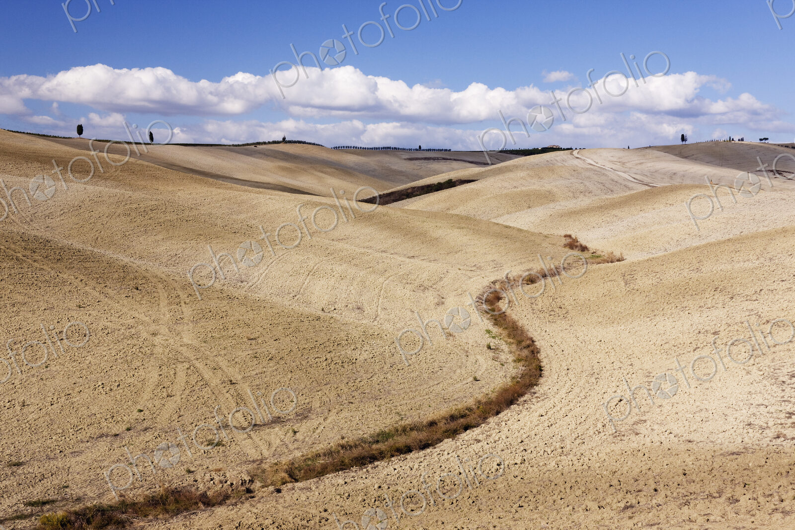 Desert Landscape
