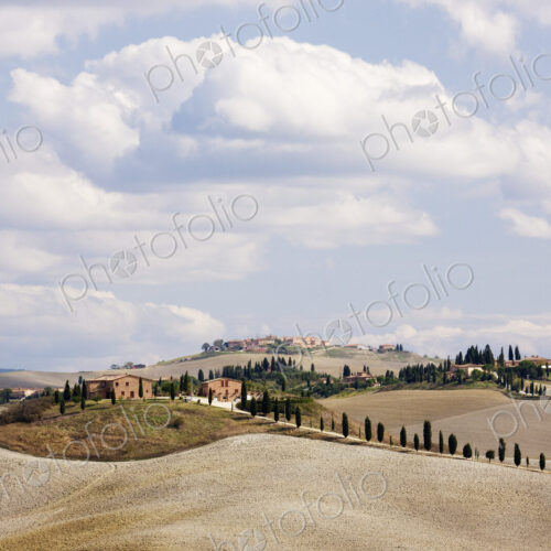 Desert Landscape in La Crete Sinesi