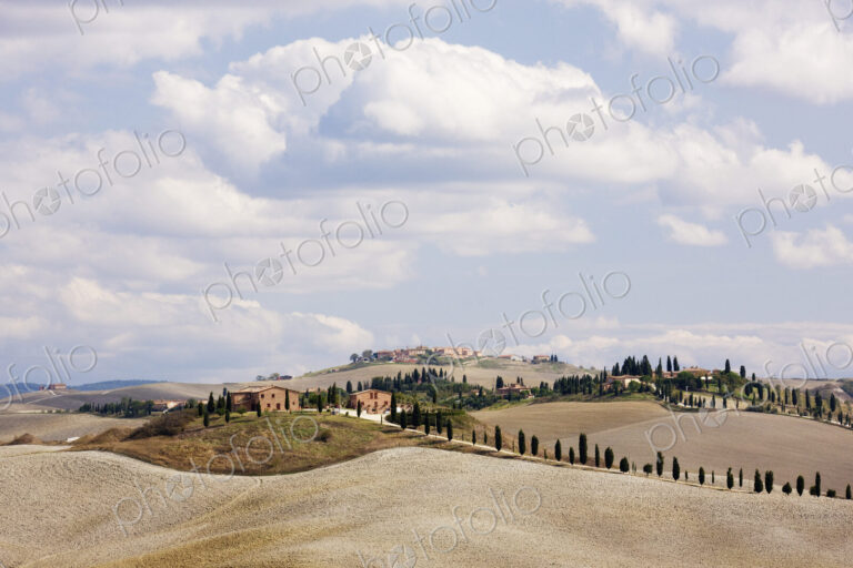 Desert Landscape in La Crete Sinesi