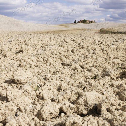 Desert Landscape in La Crete Sinesi