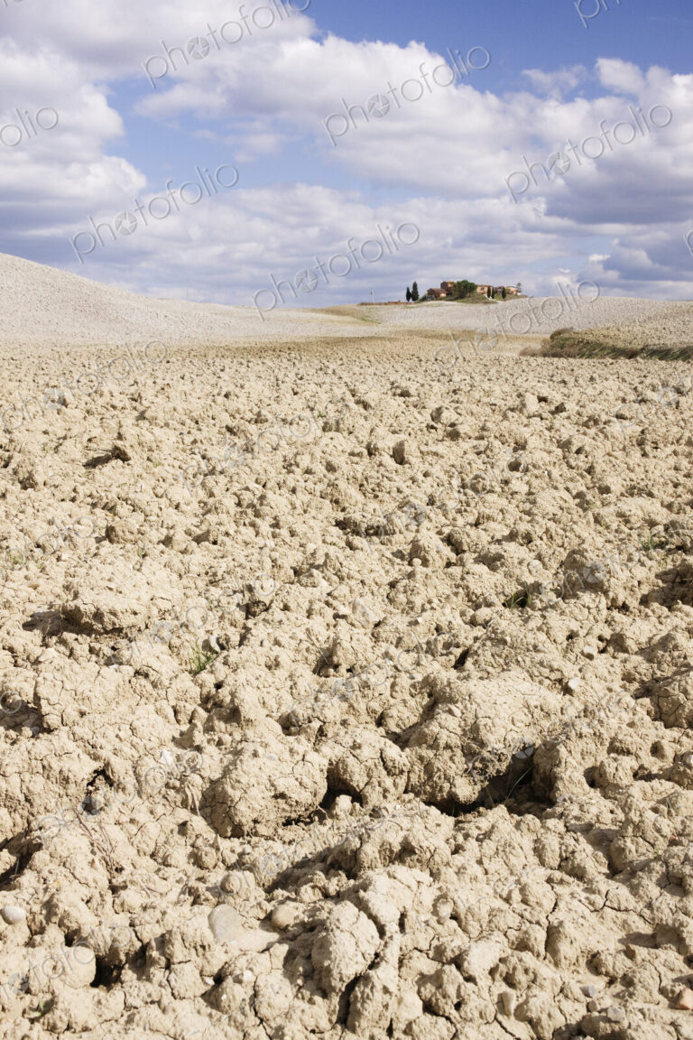 Desert Landscape in La Crete Sinesi