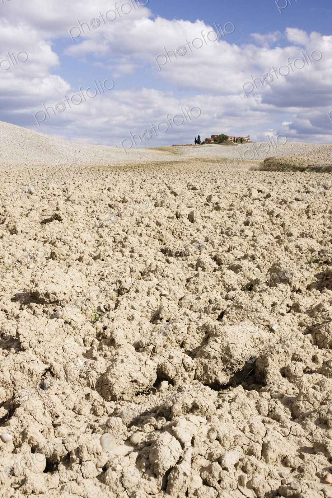 Desert Landscape in La Crete Sinesi
