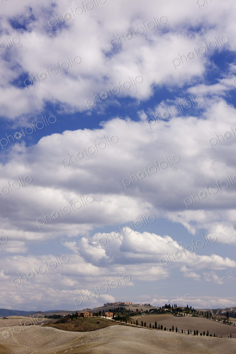 Desert Landscape in La Crete Sinesi