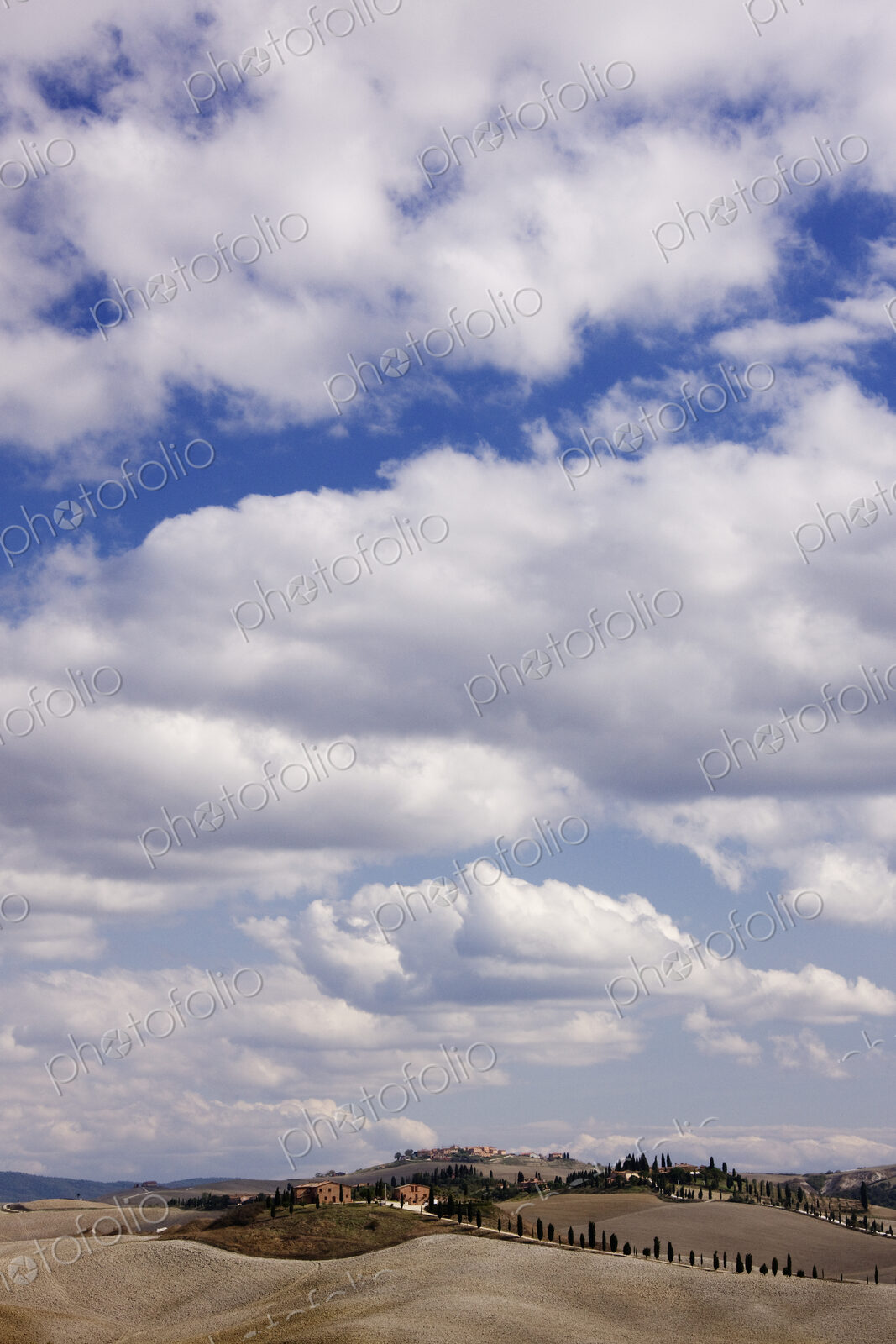 Desert Landscape in La Crete Sinesi