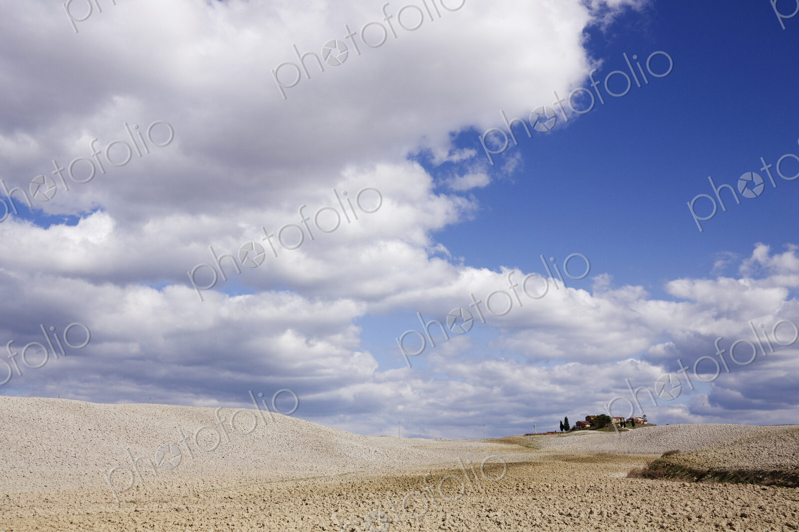 Desert Landscape in La Crete Sinesi