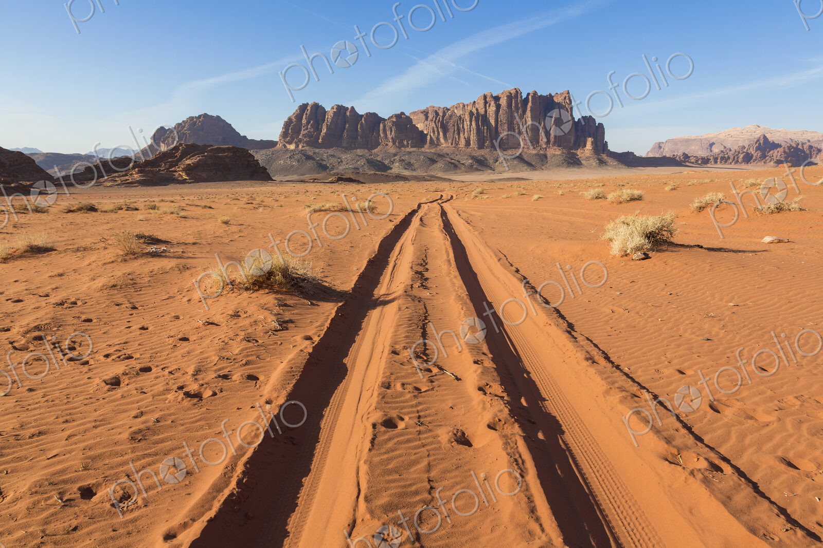 Desert landscape with tire tracks leading to distant mountain.