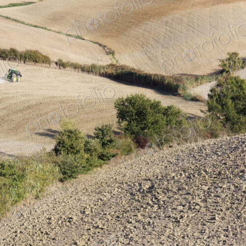 Desolate, Plowed Landscape