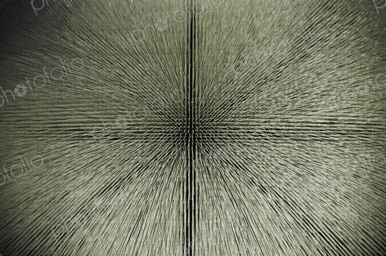 Detail of Glass Structure