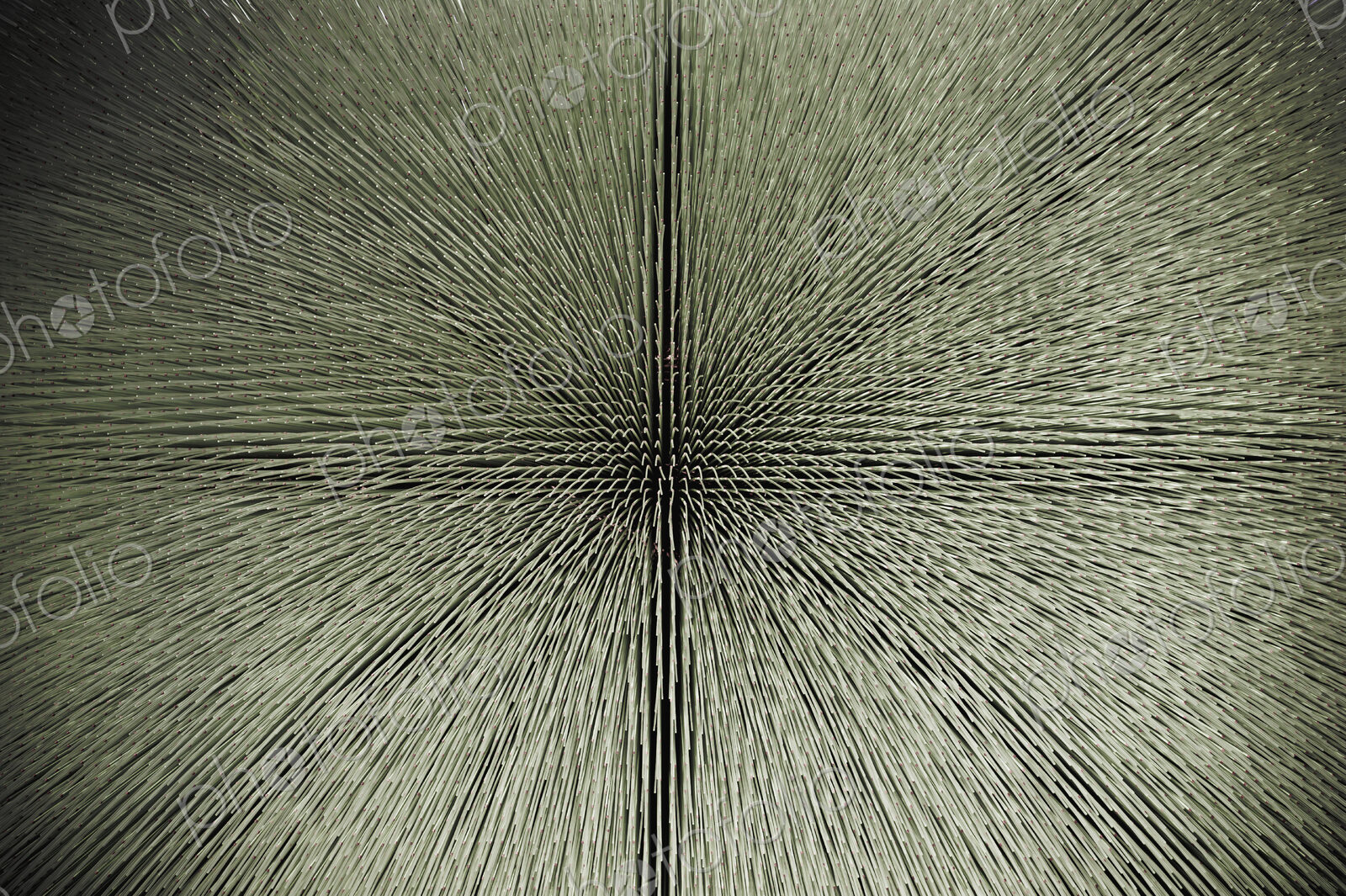 Detail of Glass Structure