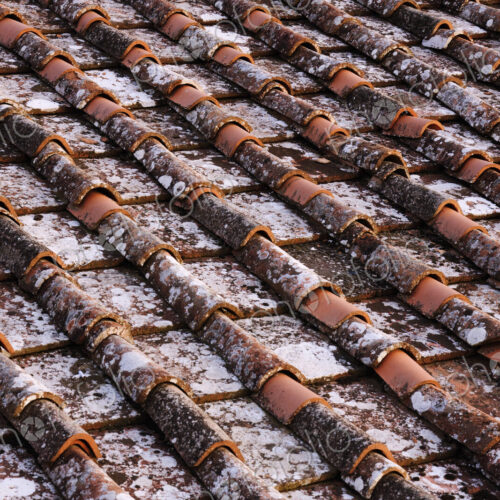 Detail of Roof Tiles Detail of Roof Tiles