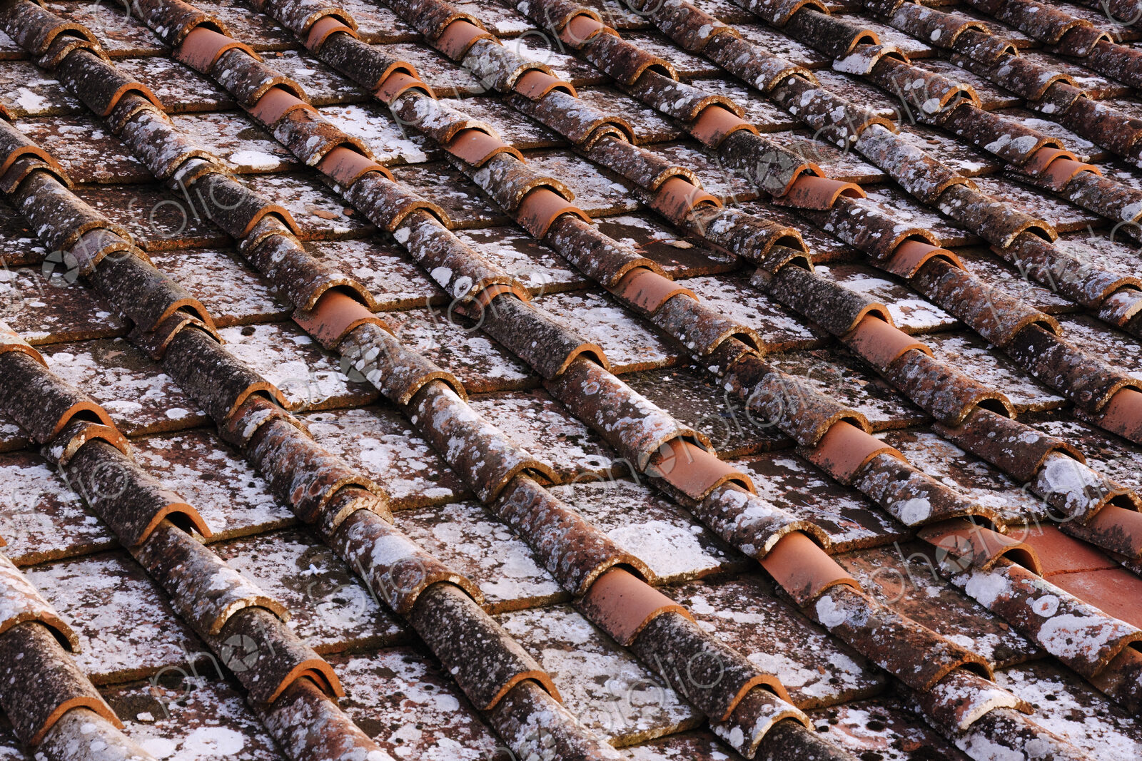 Detail of Roof Tiles